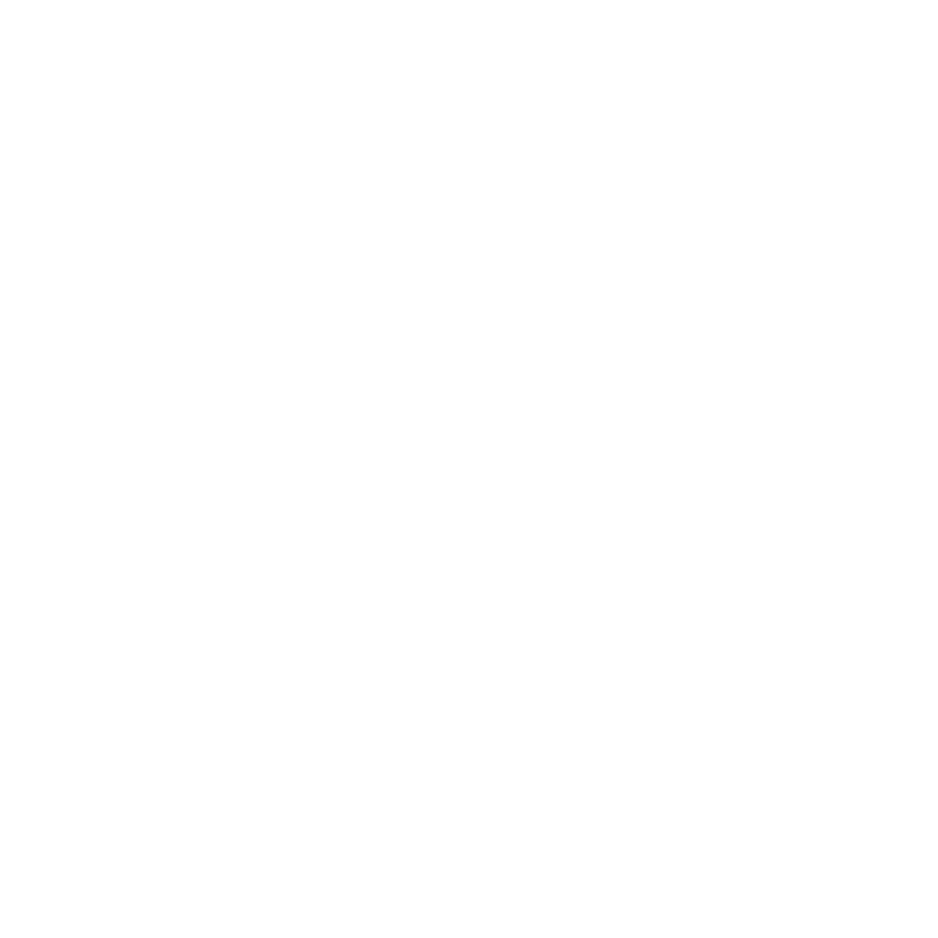 Voxon Logo
